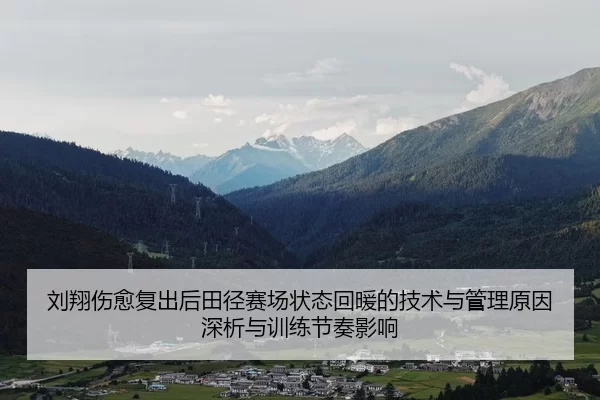刘翔伤愈复出后田径赛场状态回暖的技术与管理原因深析与训练节奏影响
